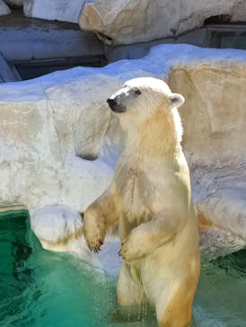 恩賜上野動物園に投稿された画像（2025/12/27）