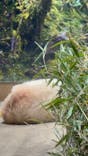 恩賜上野動物園に投稿された画像（2025/12/27）