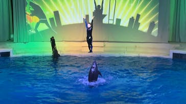 アクアワールド茨城県大洗水族館に投稿された画像（2025/12/27）