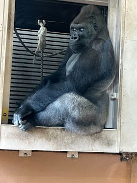 名古屋市東山動植物園に投稿された画像（2025/12/27）