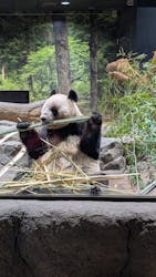 恩賜上野動物園に投稿された画像（2025/12/27）