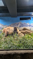 恩賜上野動物園に投稿された画像（2025/12/27）