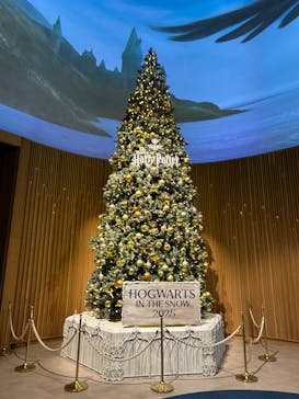 ワーナー ブラザース スタジオツアー東京 - メイキング・オブ・ハリー・ポッターに投稿された画像（2025/12/27）
