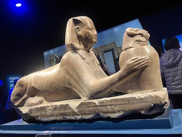 ACN ラムセス大王展 ファラオたちの黄金に投稿された画像（2025/12/27）