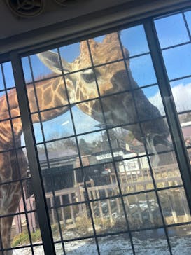 那須サファリパークに投稿された画像（2025/12/27）