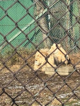 那須サファリパークに投稿された画像（2025/12/27）