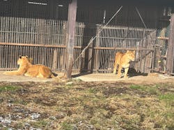 那須サファリパークに投稿された画像（2025/12/27）