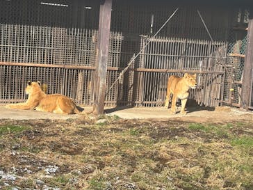 那須サファリパークに投稿された画像（2025/12/27）