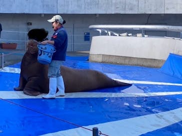 大分マリーンパレス水族館 「うみたまご」に投稿された画像（2025/12/27）