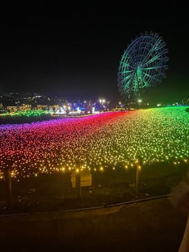 東武動物公園に投稿された画像（2025/12/27）