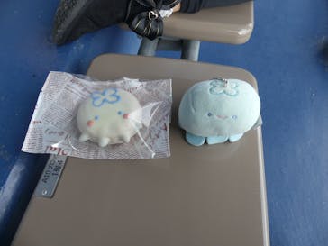 京都水族館に投稿された画像（2025/12/27）