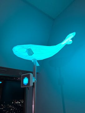 横浜ランドマークタワー 69階展望フロア スカイガーデンに投稿された画像（2025/12/27）