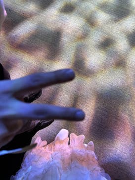 横浜ランドマークタワー 69階展望フロア スカイガーデンに投稿された画像（2025/12/27）