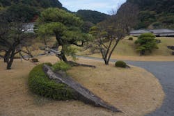 仙巌園に投稿された画像（2025/12/27）