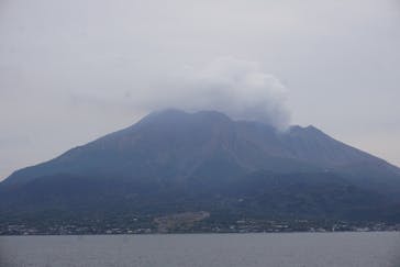 仙巌園に投稿された画像（2025/12/27）