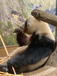 恩賜上野動物園に投稿された画像（2025/12/27）