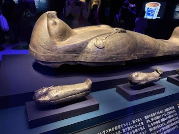 ACN ラムセス大王展 ファラオたちの黄金に投稿された画像（2025/12/27）