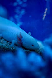 ひらかたパークに投稿された画像（2025/12/27）