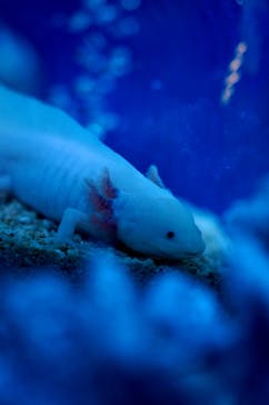 ひらかたパークに投稿された画像（2025/12/27）