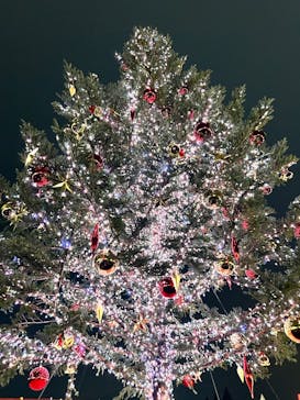 Christmas Market in 横浜赤レンガ倉庫 2025に投稿された画像（2025/12/27）