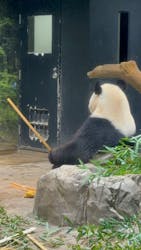 恩賜上野動物園に投稿された画像（2025/12/27）