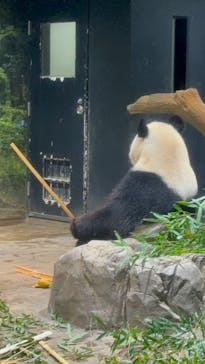 恩賜上野動物園に投稿された画像（2025/12/27）