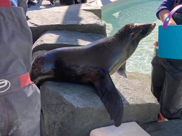 大分マリーンパレス水族館 「うみたまご」に投稿された画像（2025/12/27）