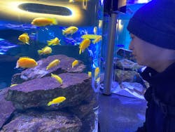 大分マリーンパレス水族館 「うみたまご」に投稿された画像（2025/12/27）