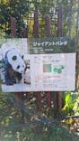 恩賜上野動物園に投稿された画像（2025/12/28）