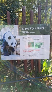 恩賜上野動物園に投稿された画像（2025/12/27）