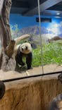 恩賜上野動物園に投稿された画像（2025/12/28）