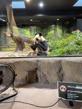 恩賜上野動物園に投稿された画像（2025/12/27）