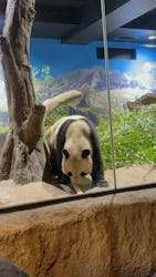 恩賜上野動物園に投稿された画像（2025/12/27）