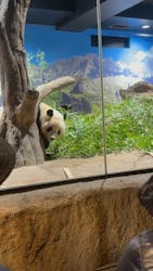 恩賜上野動物園に投稿された画像（2025/12/27）