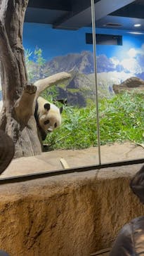 恩賜上野動物園に投稿された画像（2025/12/27）