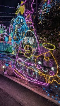 さがみ湖MORI MORIに投稿された画像（2025/12/27）