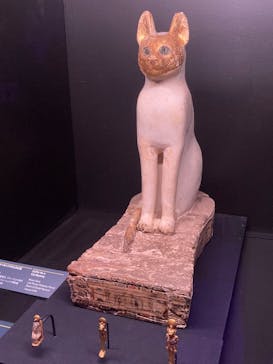 ACN ラムセス大王展 ファラオたちの黄金に投稿された画像（2025/12/27）