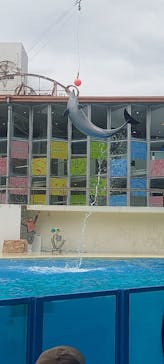 伊豆・三津シーパラダイスに投稿された画像（2025/12/27）