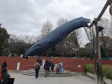 特別展「大絶滅展―生命史のビッグファイブ」に投稿された画像（2025/12/27）