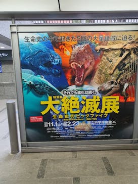 特別展「大絶滅展―生命史のビッグファイブ」に投稿された画像（2025/12/27）