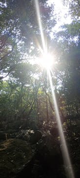 白瀧大明神奉賛会に投稿された画像（2025/12/27）