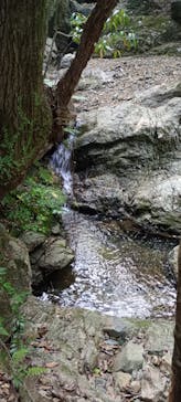 白瀧大明神奉賛会に投稿された画像（2025/12/27）