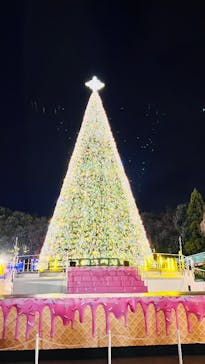 レオマリゾートに投稿された画像（2025/12/27）