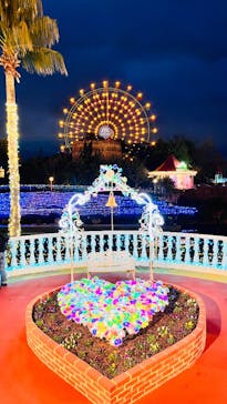 レオマリゾートに投稿された画像（2025/12/27）