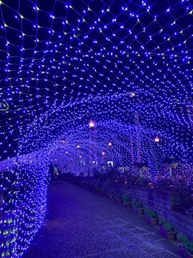 ひらかたパークに投稿された画像（2025/12/27）