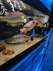 カワスイ 川崎⽔族館に投稿された画像（2025/12/27）