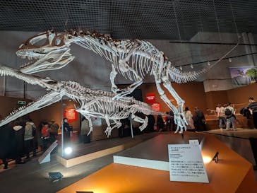 特別展「大絶滅展―生命史のビッグファイブ」に投稿された画像（2025/12/28）