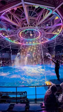 マクセル アクアパーク品川に投稿された画像（2025/12/28）