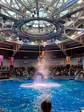 マクセル アクアパーク品川に投稿された画像（2025/12/28）