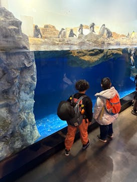 マクセル アクアパーク品川に投稿された画像（2025/12/28）